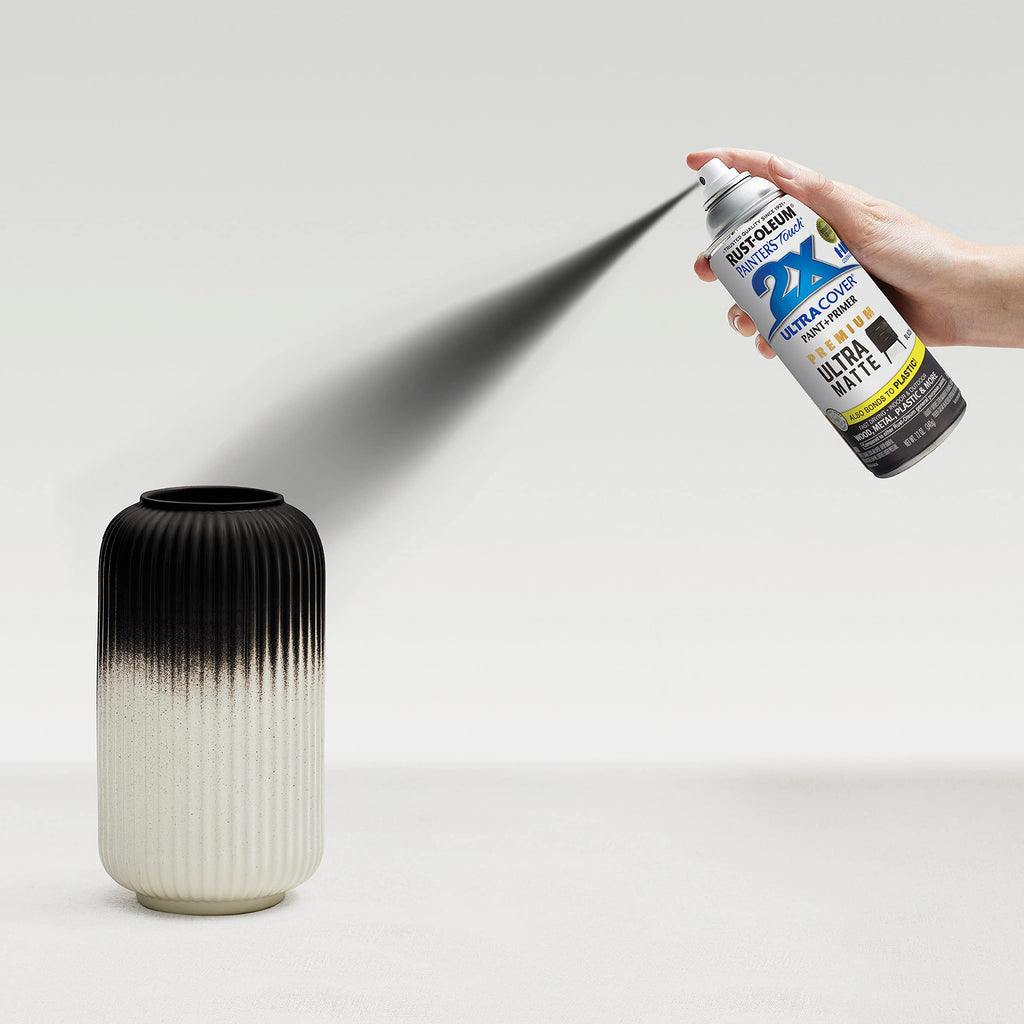 Rust-Oleum Painter's Touch 2X Ultra Cover Spray Paint, Ultra Matte Black