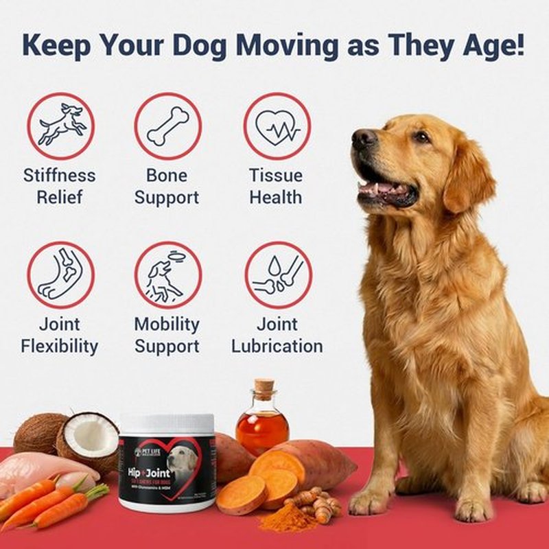 3-in-1 Advanced Dog Hip & Joint Supplement - Tasty Soft Chews with Glucosamine & MSM for All Breeds - Chicken Flavor