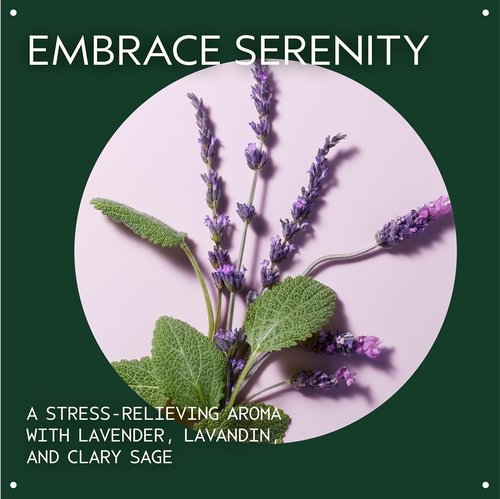 Aveda Stress-Fix Concentrate Rollerball - Reduce Stress with Lavender & Clary Sage Aroma | 0.24 Fl Oz