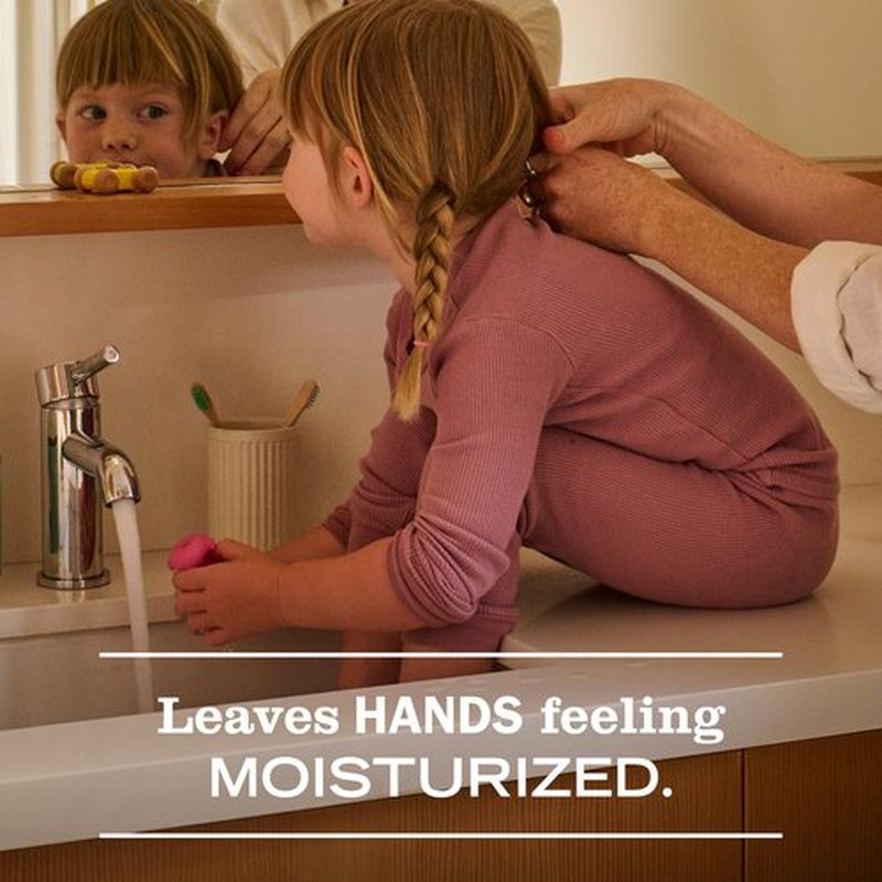 Mrs. MEYER'S Clean Day Liquid Hand Soap, Gingerbread Scent, 12.5 fl oz (Pack of 3)