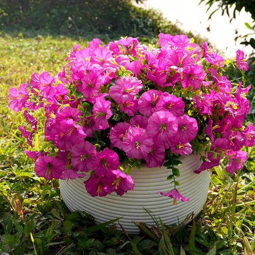 Fanfantoey Artificial Flowers - UV Resistant Silk Morning Glory Plants for Outdoor Decor | 14 Pcs Fuchsia