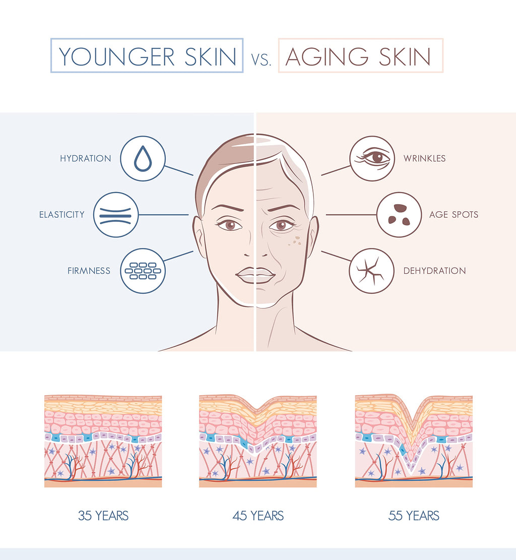 Suzy Cohen, Collagen Beauty Peptide Serum, Collagen Boosting, Instant Plumping Skin Elasticity, Firmness 30 ml