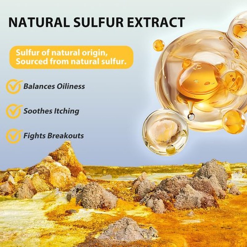 Bee & Flower Sulfur Soap Liquid Shampoo & Body Wash - Daily Head to Toe Skin Care Product for Men and Women - 16.8 Fl Oz - Pack of 1