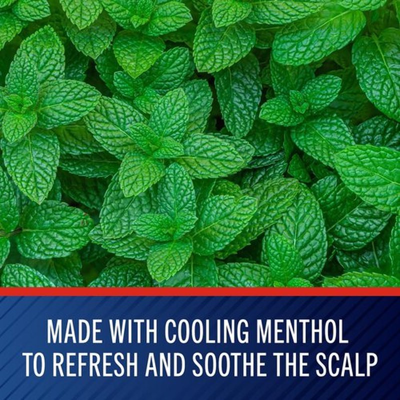 Selsun Blue Medicated Anti-dandruff Shampoo with Menthol, 11 fl. oz., Maximum Strength, Selenium Sulfide 1% (Pack of 2)