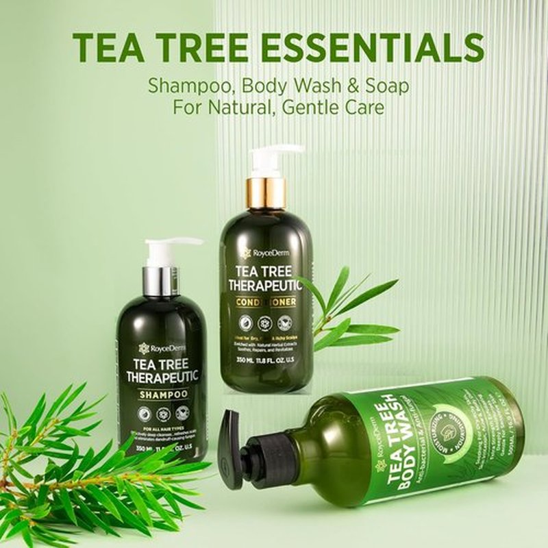 Roycederm Tea Tree Antifungal Shampoo - Medicated Folliculitis Treatment for Dry, Itchy Scalp | Paraben & Sulfate Free