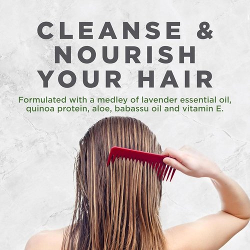Avalon Organics Revitalizing Lavender Shampoo - Smooth, Shiny Hair for Normal to Dry Hair | 11 Fl Oz