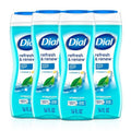 Dial Body Wash - Refresh & Renew Spring Water | 16 Fl Oz (Pack of 4) with Hydraclean Complex & Vitamin E, Gentle & Nourishing