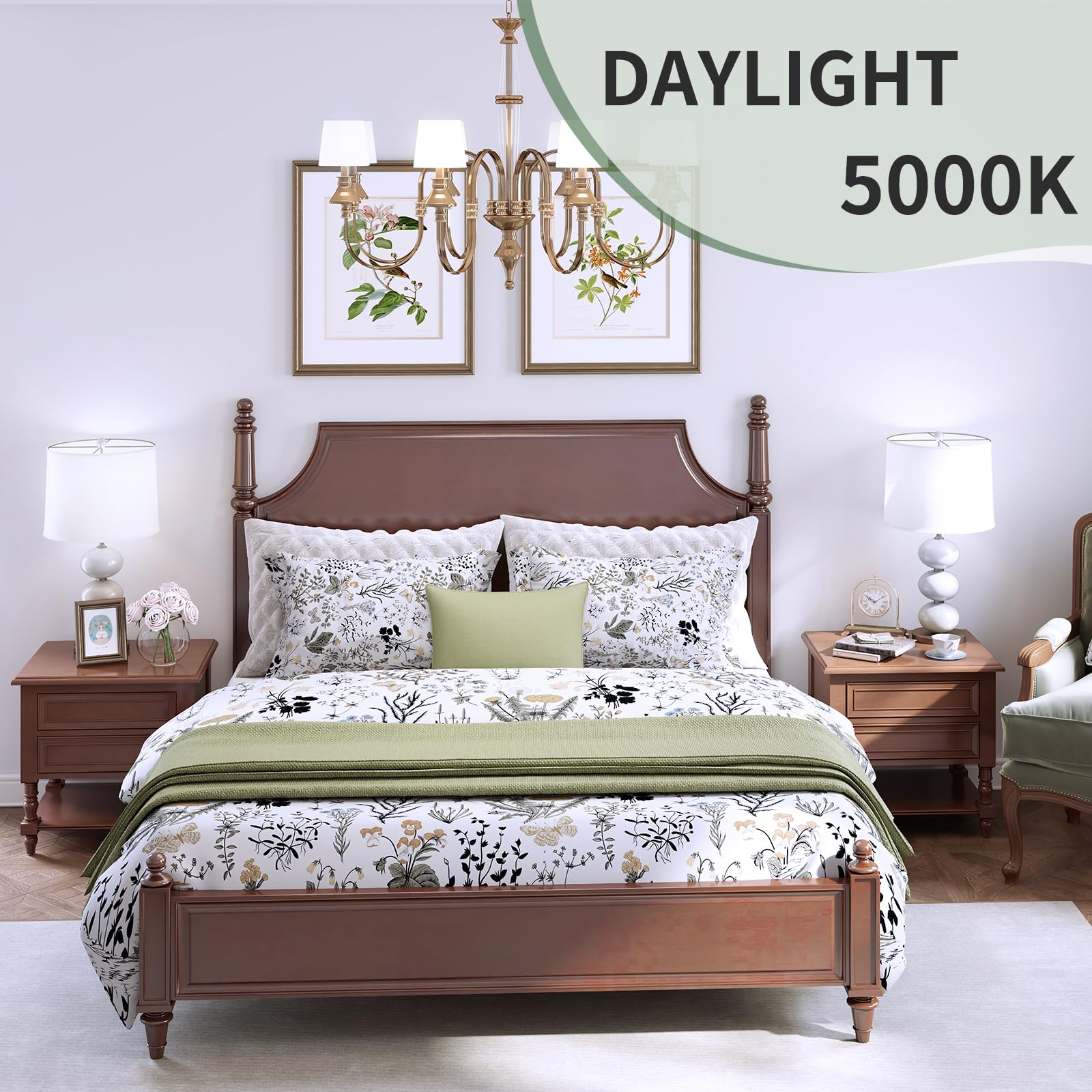 evelor 6-Pack A19 LED Light Bulbs,60 Watt Equivalent Daylight 5000K with E26 Base,Efficient 9W,800 Lumens Non-Dimmable LED Bulbs,15000 Hours, Ideal for Bedroom Living Room
