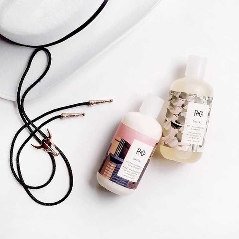 R+Co Dallas Thickening Shampoo - Biotin Infused for Hair Growth, Volume & Strength | Vegan & Cruelty-Free