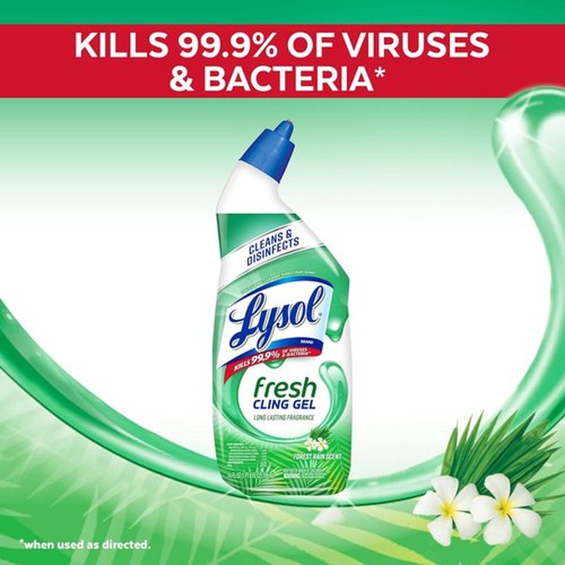 Lysol Toilet Bowl Cleaner Gel - Powerful Stain Removal & Disinfection | Forest Rain Scent, 24oz (Pack of 2)