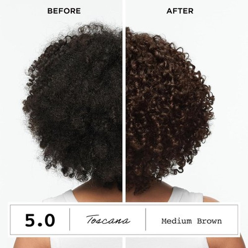 Clairol ColorStrong Hair Dye - Ammonia-Free, PPD-Free, 100% Gray Coverage, 2.8 Blue Black | Pack of 1