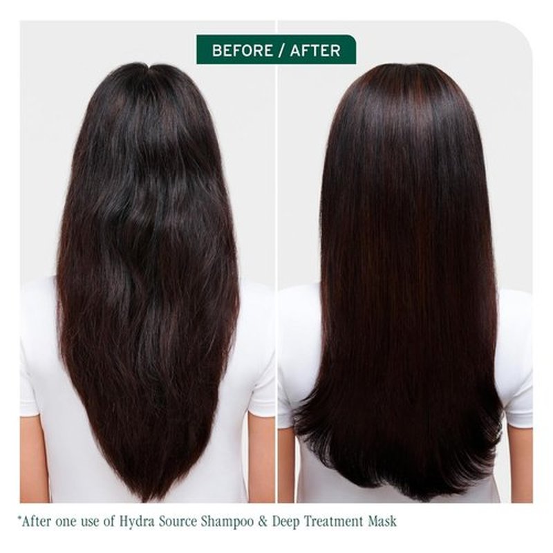 Biolage Hydra Source Deep Treatment Mask - Nourishing & Smoothing for Dry Hair | Aloe Vera & Hyaluronic Acid Infusion