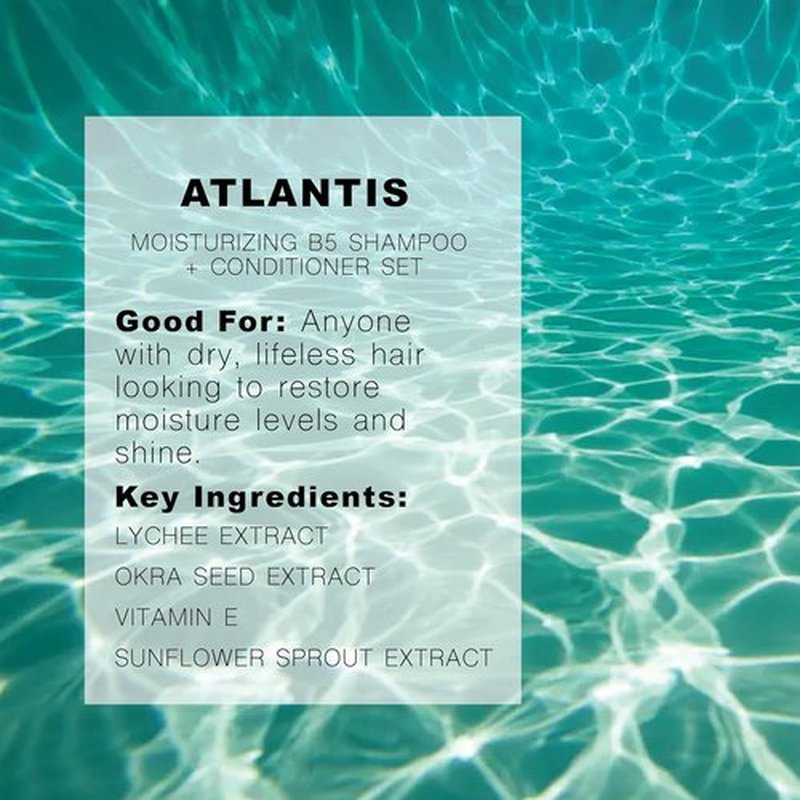 R+Co Atlantis B5 Shampoo & Conditioner Travel Set - Deep Hydration & Repair for Dry Hair | Vegan & Cruelty-Free | 2oz (Pack of 2)