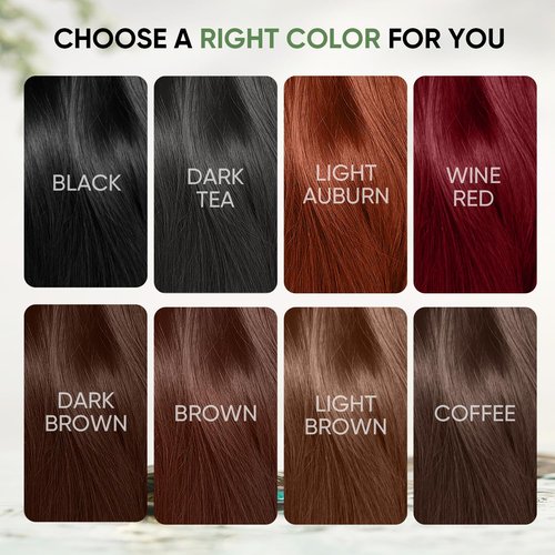 Farndu Black Hair Dye Shampoo for Women & Men, Gray Hair Coverage Herbal Natural 3 in 1 Hair Color Shampoo, Champu para canas