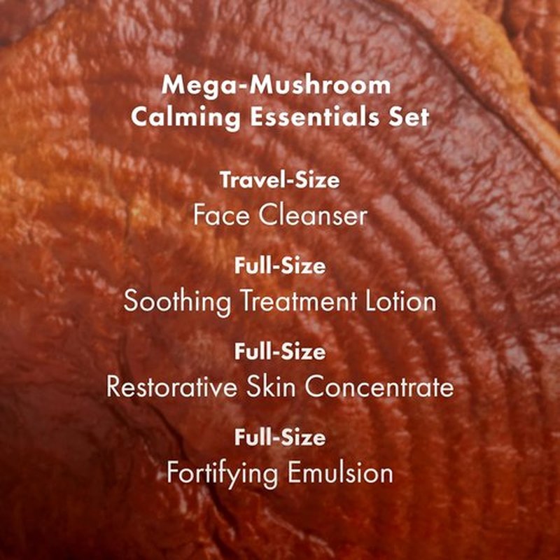 Origins 4-Piece Mega-Mushroom Skin Repair Set - Cleanser, Treatment Lotion, Moisturizer & Concentrate | Ideal for Sensitive Skin with Hyaluronic Acid & Reishi Mushroom