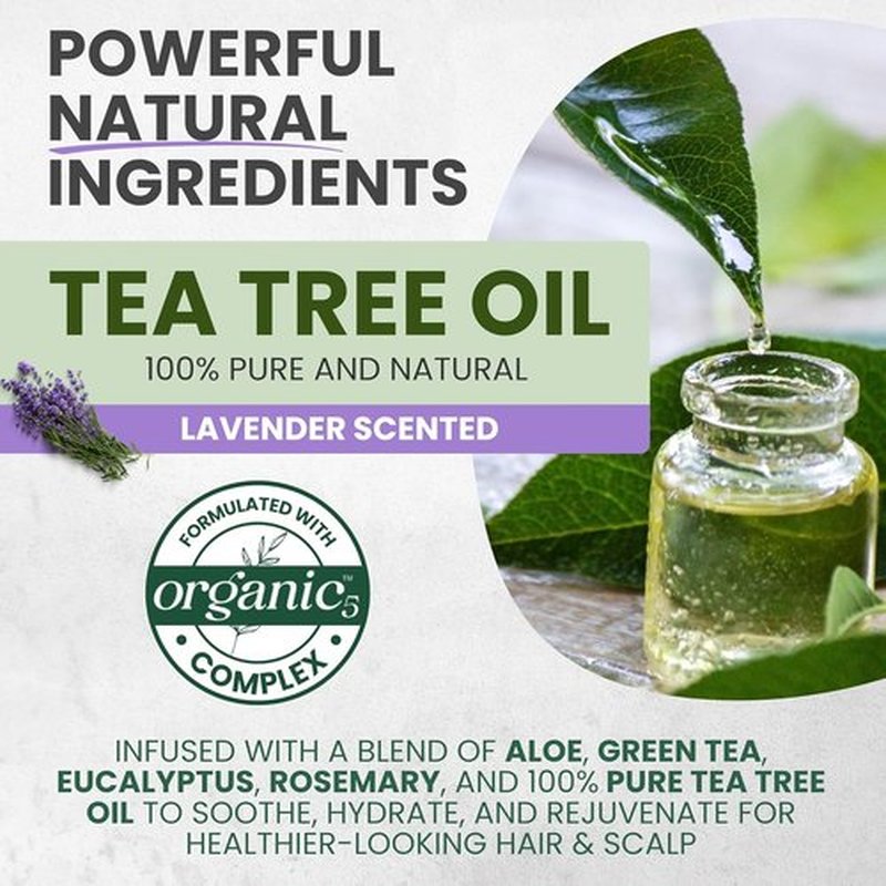 KESMEDIK Tea Tree Lavender Shampoo & Conditioner Set - Soothes Dry, Itchy Scalp | 16 fl oz Each