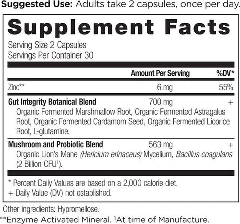 Ancient Nutrition Gut Health Supplement - Leaky Gut Capsules with Licorice Root & L-Glutamine | 60 Count