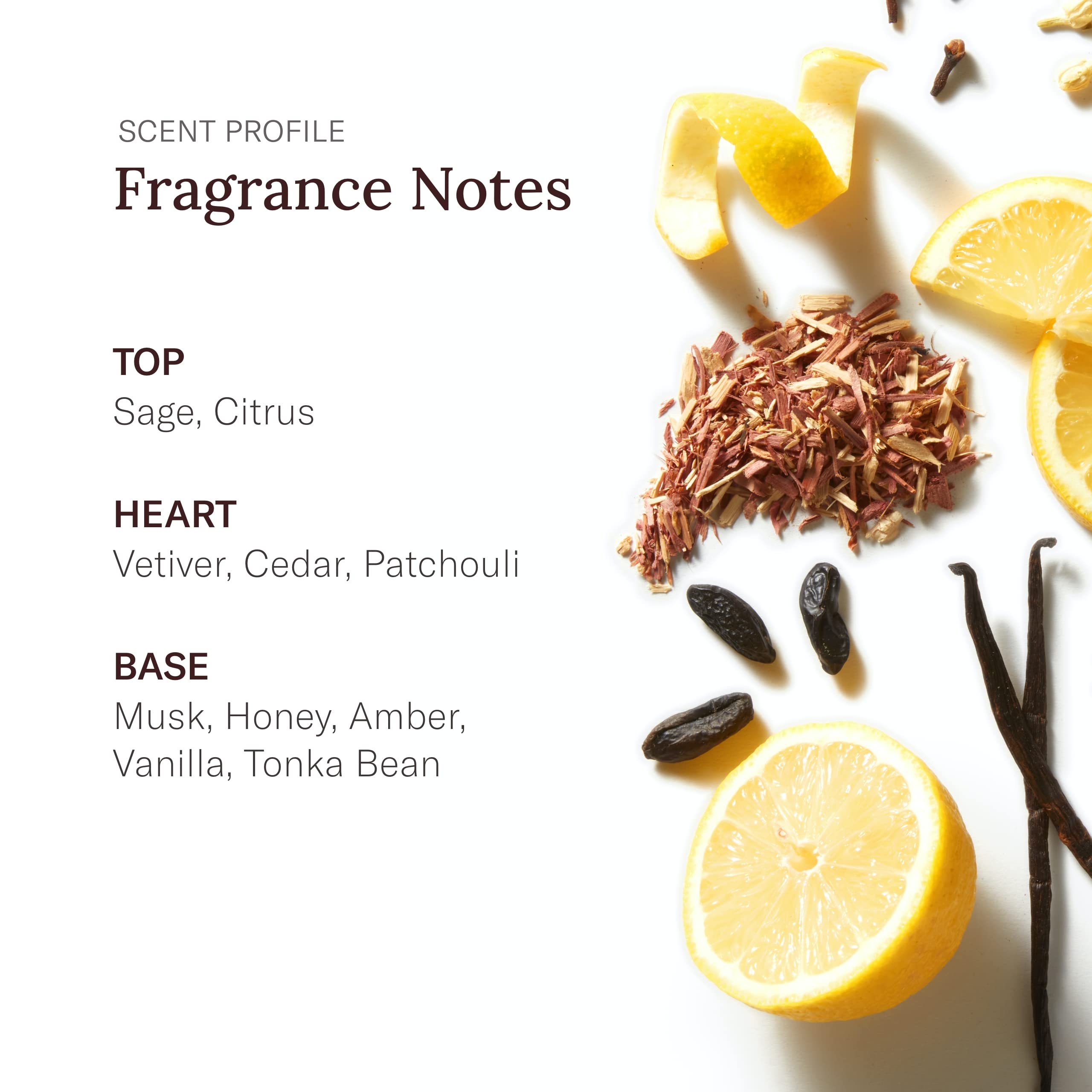SCENT BEAUTY STETSON Original Cooling Moisture After Shave - Fragrance Notes of Citrus, Honey, and Sage - 3.4 Fl Oz - Pack of 3