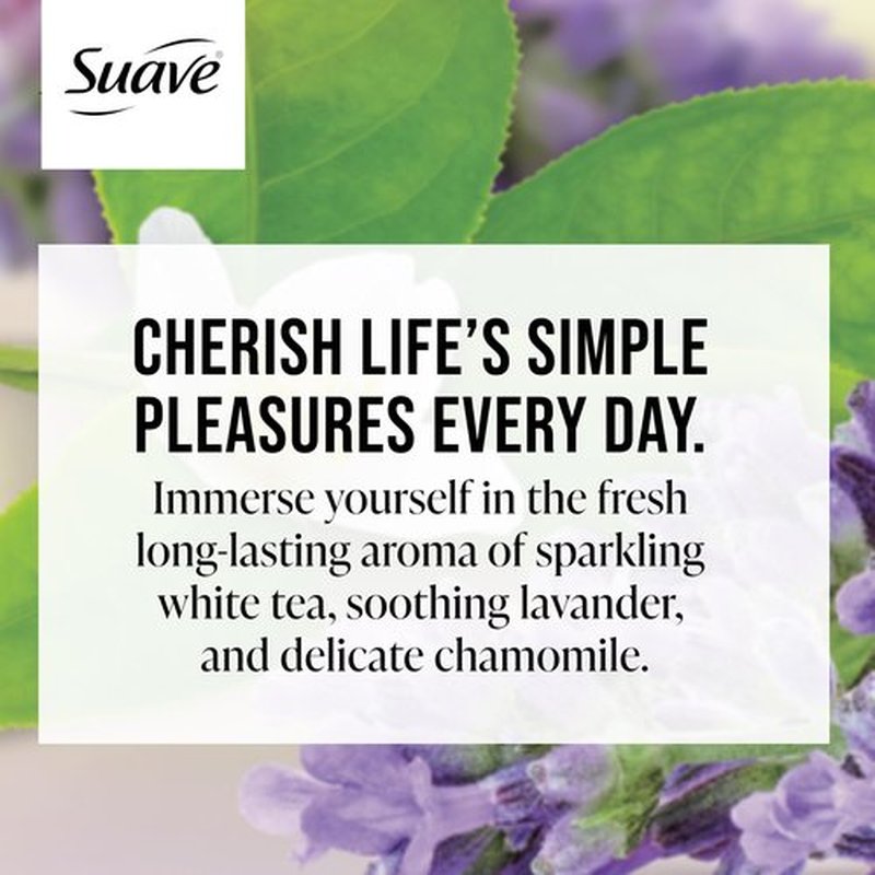 Suave Moisturizing Body Wash Women, White Tea and Lavender with Vitamin E and Aloe Extracts, No Parabens, No Phthalates, 18 Oz (Pack of 6)