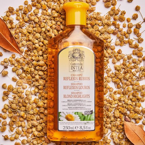 Intea Chamomile Shampoo - Brightening Formula for Blonde Hair - Non-Ammonia, Easy Application - 8.5oz