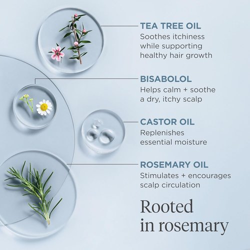 Briogeo Scalp Revival Rosemary Pre-Wash Oil - Moisturizing Treatment for Dry, Flaky Scalp | Strengthens Hair & Soothes Itchiness | Vegan & Cruelty-Free