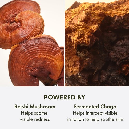 Origins Mega-Mushroom Advanced Face Serum - Reduces Redness & Strengthens Skin Barrier | 1.7 Fl Oz