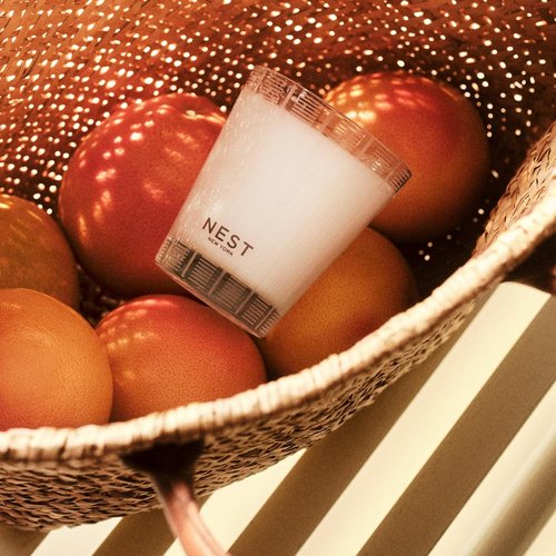 NEST New York Scented Classic Candle - Grapefruit Fragrance | 8.1 oz - Long-Lasting 60-Hour Burn Time