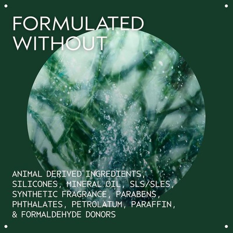 Aveda Botanical Kinetics Exfoliant - Liquid Exfoliant for All Skin Types | Smooths & Refines Skin, 5 Fl Oz