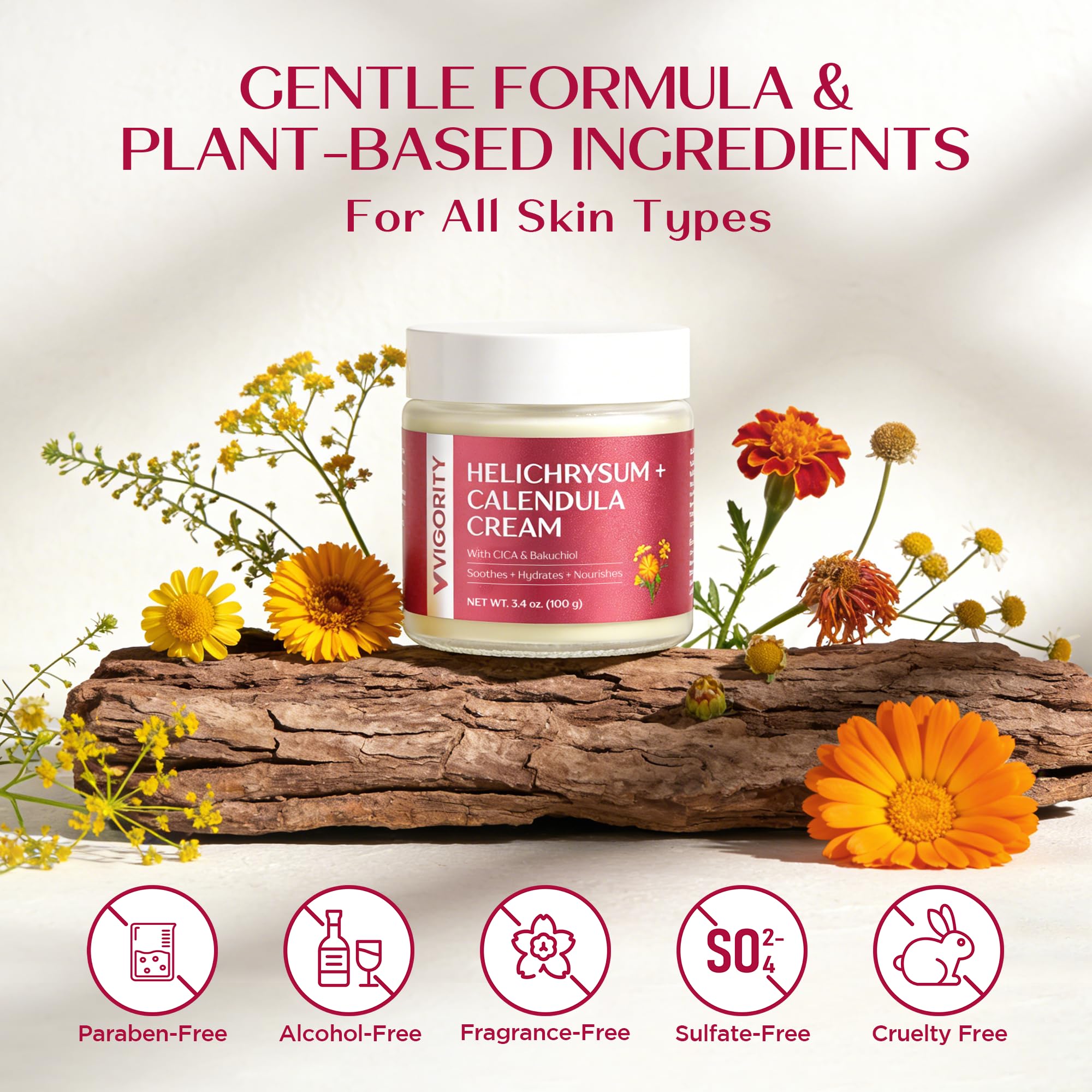 Vigority Calendula Cream: Soothes Calendula Cream for Mature, Thin & Fragile Skin with Helichrysum, Bakuchiol & CICA - Hydrates, Nourishes & Strengthens Skin Barrier - Non-greasy Fragrance Free 3.4oz