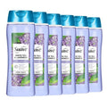 Suave Moisturizing Body Wash Women, White Tea and Lavender with Vitamin E and Aloe Extracts, No Parabens, No Phthalates, 18 Oz (Pack of 6)