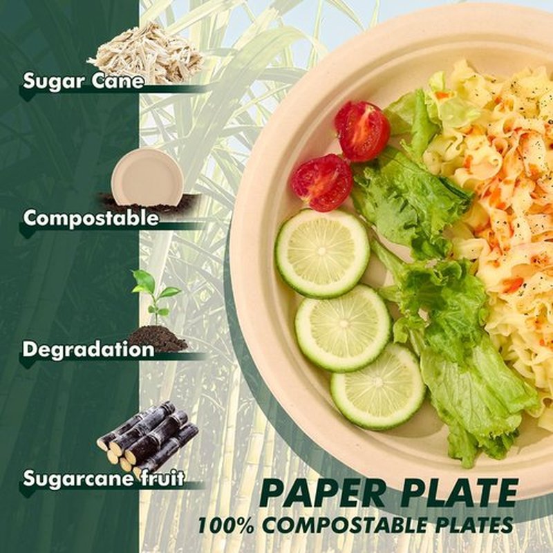 Regine Switzerland Heavy-Duty Compostable Paper Plates - 10 Inch, 125 Count, Eco-Friendly & Microwavable