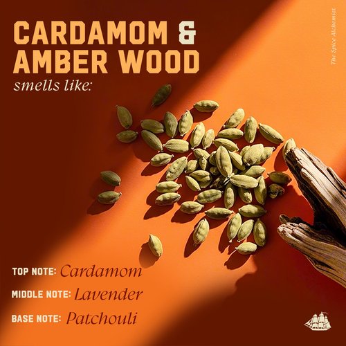 Old Spice Men's Shampoo, The Spice Alchemist Collection, Cologne-Infused Cardamom and Amber Wood Scent, Free of Parabens & Phthalates, 21.9 fl oz