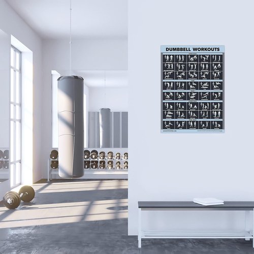 Palace Learning Dumbbell Workout Exercise Poster - Laminated, Dark Design | 18" x 24"