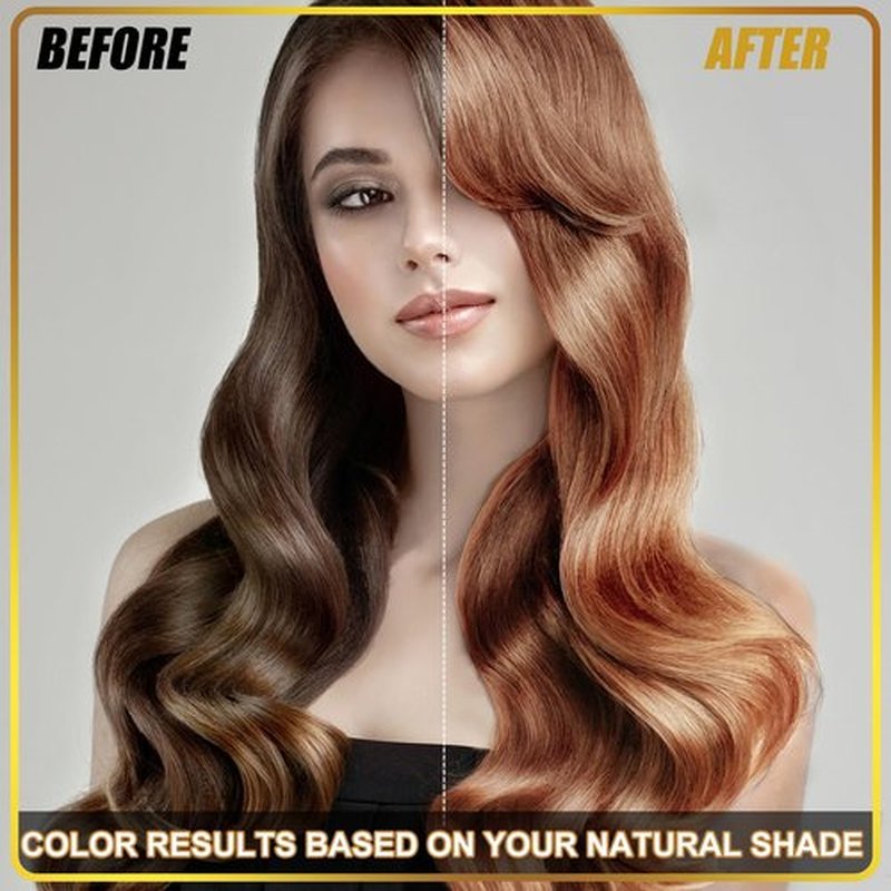 Hair Dye Shampoo 3 in 1, Herbal Shampoo Hair Dye for Women Men, Grey Coverage 16.9fl oz (Chestnut Brown)