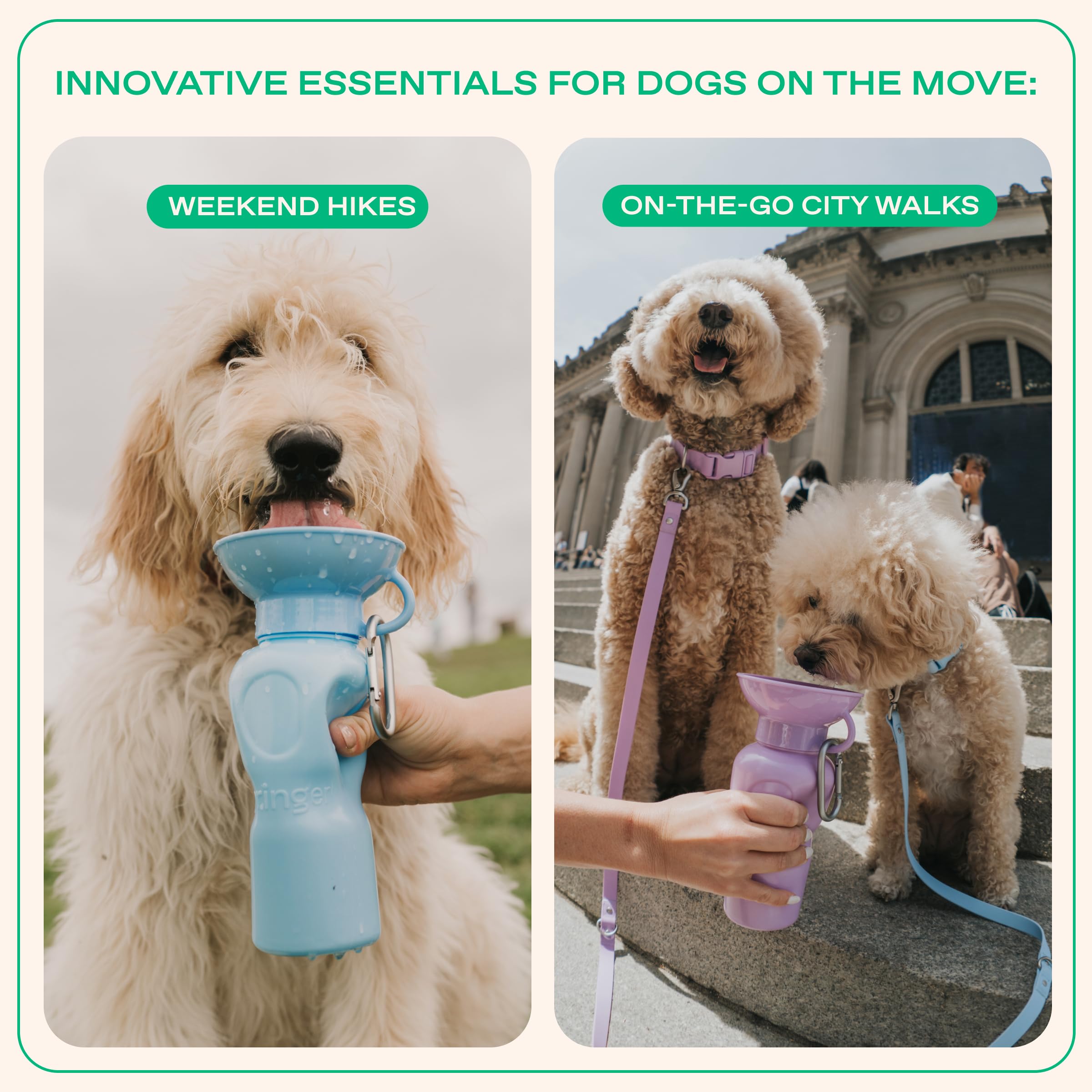 Springer Dog Water Bottle | Portable Travel Drinking Feeder Dispenser for Dogs & Puppies | As Seen on Shark Tank | Leak-Proof Bowl | BPA-Free | Outdoor Walking, Hiking & Travel | 22oz Lilac