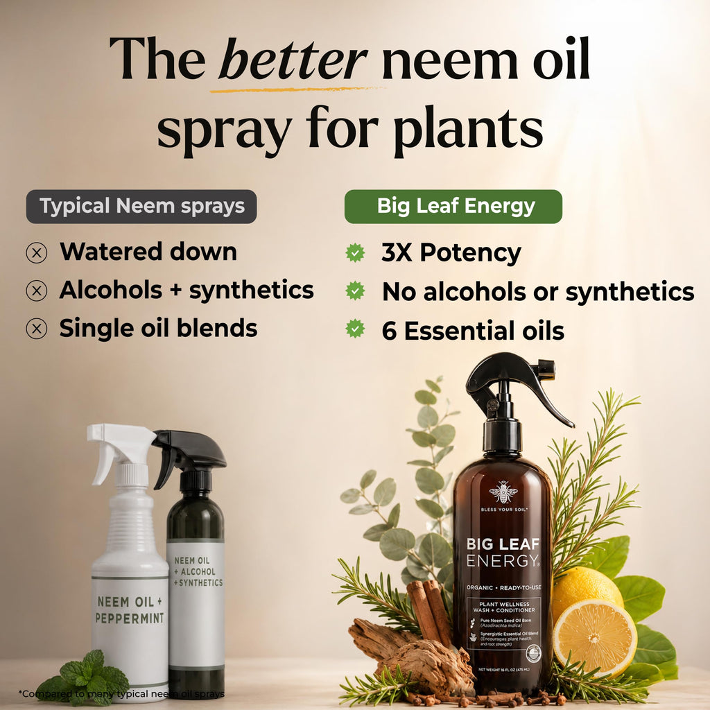 Neem Oil Spray for Plants – Big Leaf Energy + Essential Oils – Ready to Use Organic Plant Wash to Protect Outdoor & Indoor Plants, Made in USA (16 fl oz)