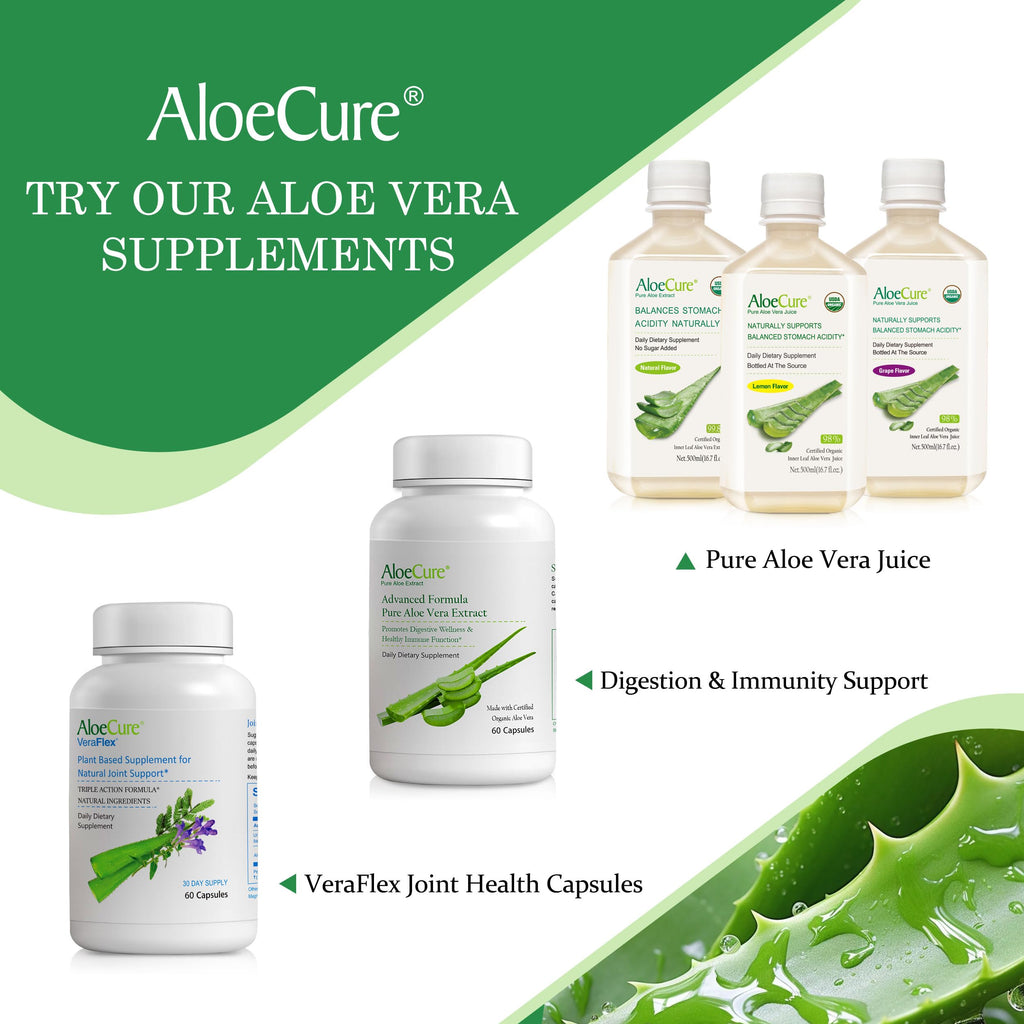 AloeCure USDA Organic Aloe Vera Juice Lemon Flavor - Made Within 12 Hours of Harvest - Natural Digestive Supplement for Balanced Stomach Acidity - Support Digestive and Immune Health, 2 Btls x 16.7oz