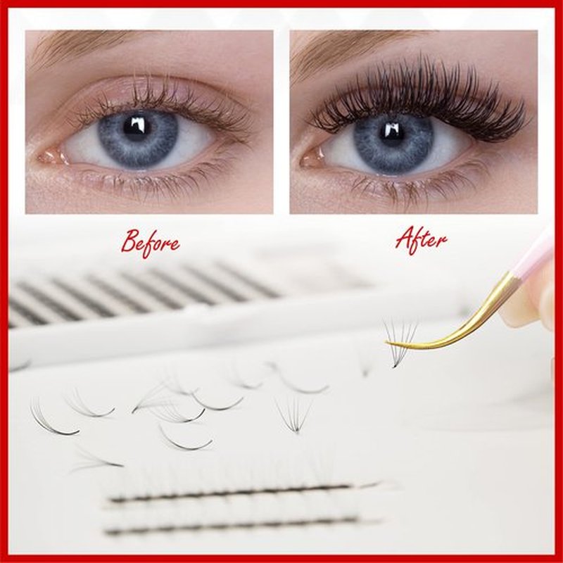 THE LASH SUPPLY 120 Fans, 5D Premade Fan Eyelash Extensions, C/D Curl, 8-15mm Length, 0.07 Thickness, 12 Lines, Volume Lash Extensions, Natural and Long-lasting Curl