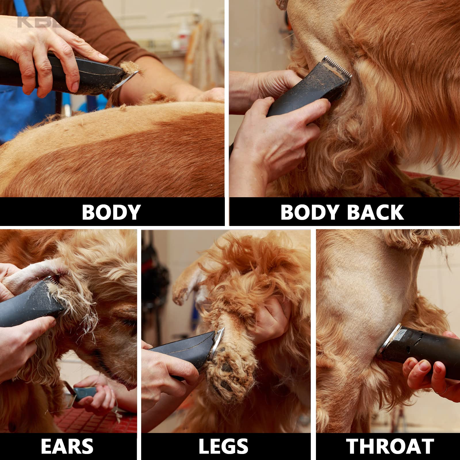KBDS Detachable Ceramic Pet Clipper Blades,Size-7F,Compatible with Most Andis,Oster,Wahl A5 Clippers,Made of Ceramic Blade Cutter and Carbon Steel Blade,1/8'' Inch 3.2mm Cut Length, 7F Blade
