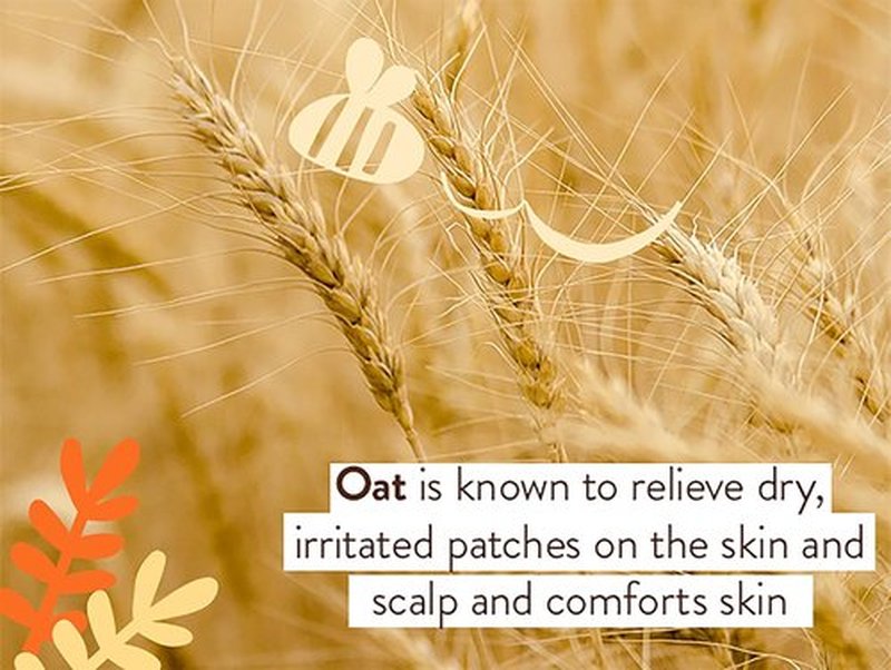 BABO Botanicals Healing Ointment | Fragrance-Free & 99% Organic for Eczema Relief - Face, Body, Diaper Area