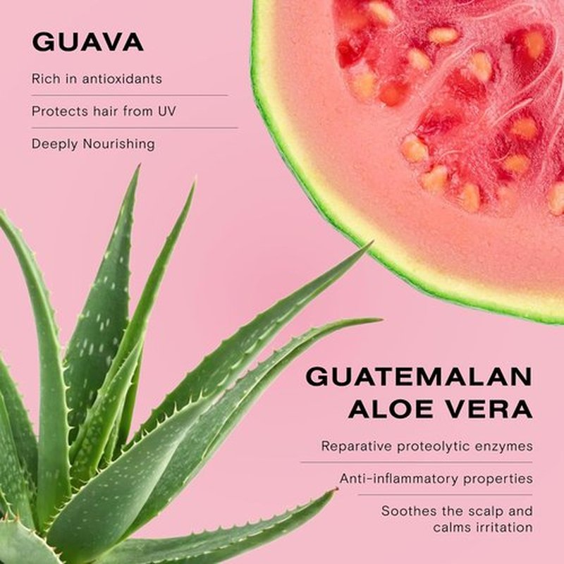 Ceremonia Guava Protect & Repair Conditioner - Nourishes Damaged & Color Treated Hair | 1.69 Fl. Oz.