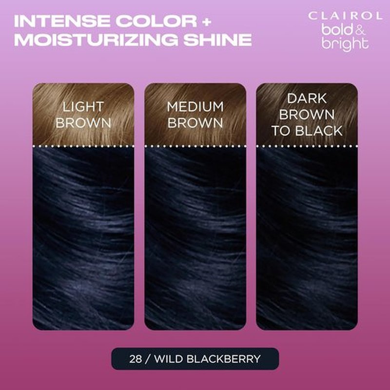 Clairol Bold & Bright Hair Dye - Wild Blackberry Permanent Color, Single Pack (28)