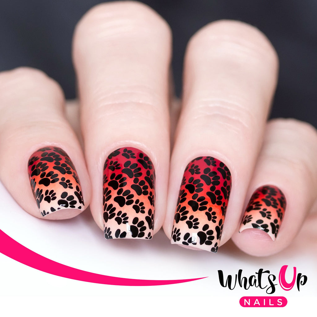 Whats Up Nails - Animal Stamping Plates 2 pack (A015, B025) for Nail Art Design