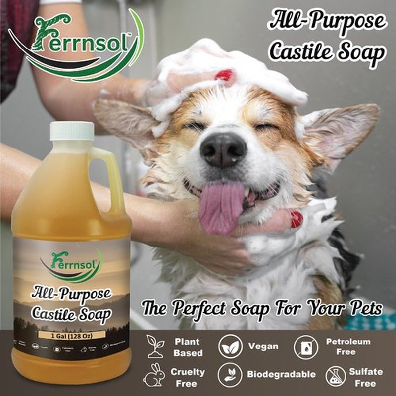 AP Castile Soap Liquid (1 Gallon) – Unscented, Fragrance-Free, Refill – Natural All-Purpose Soap for Home, Hands, and More – Gentle, Non-Toxic formula – 128oz - Made in USA