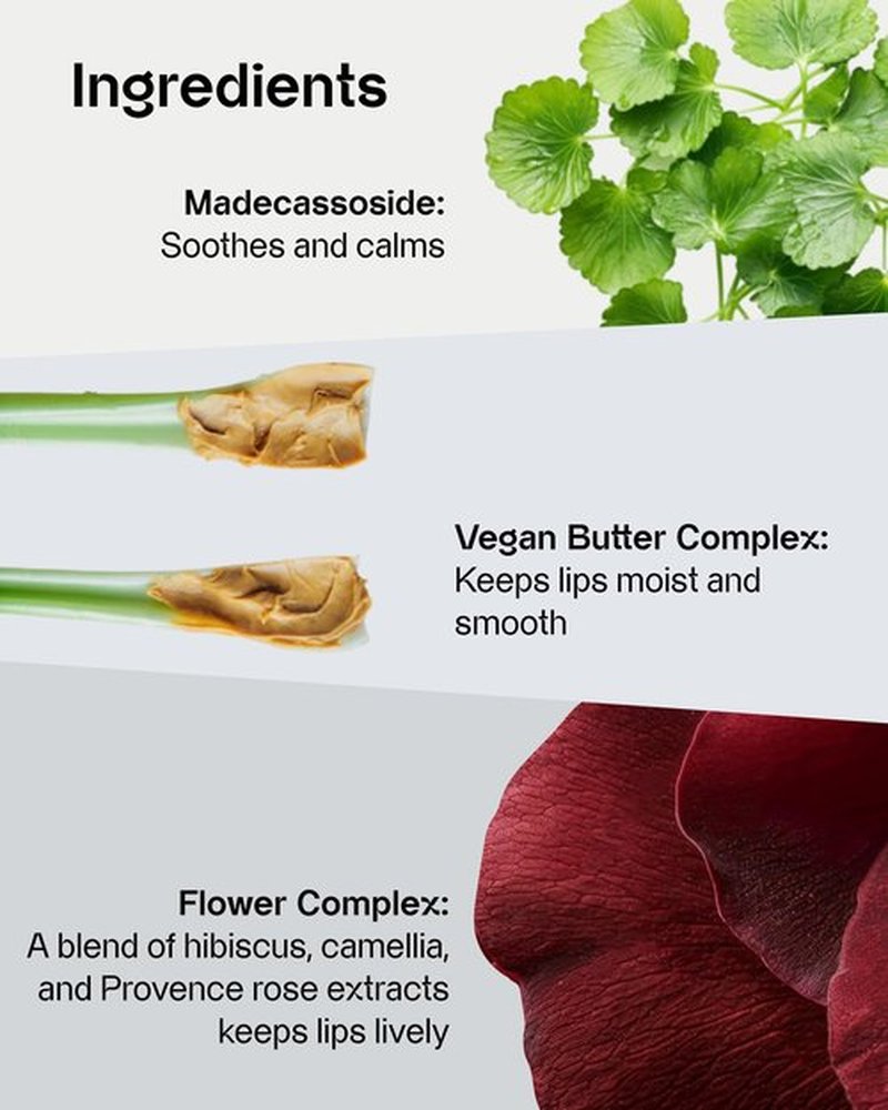 FRESHIAN Sensual Vegan Lipstick Blur (10 Embrace, 0.12oz) - Long-Lasting Formula, Lightweight Matte Lipstick, Korean Makeup. Shea Cocoa Butter, Vegan.