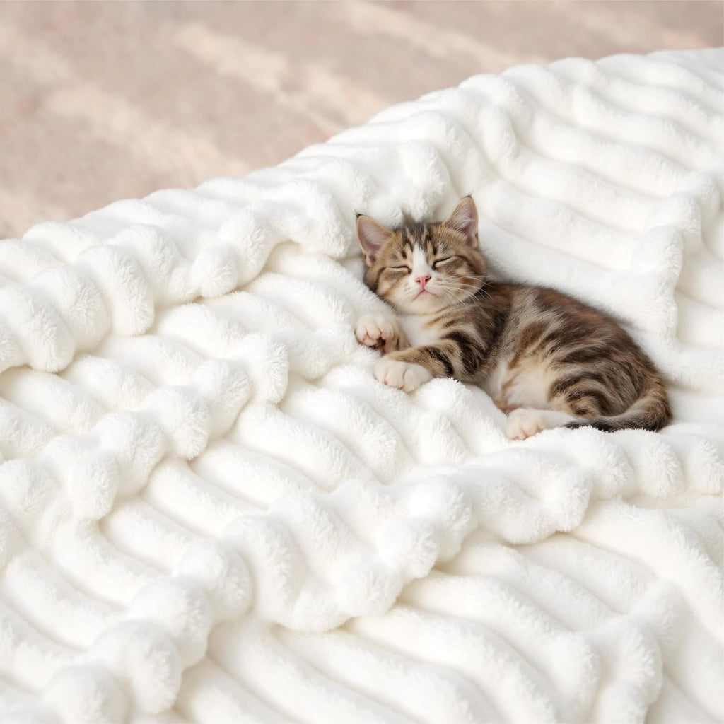 Bedsure GentleSoft Twin XL Blanket - Cozy Fleece Throw for Dorm Rooms | Off White, 66x90 Inches