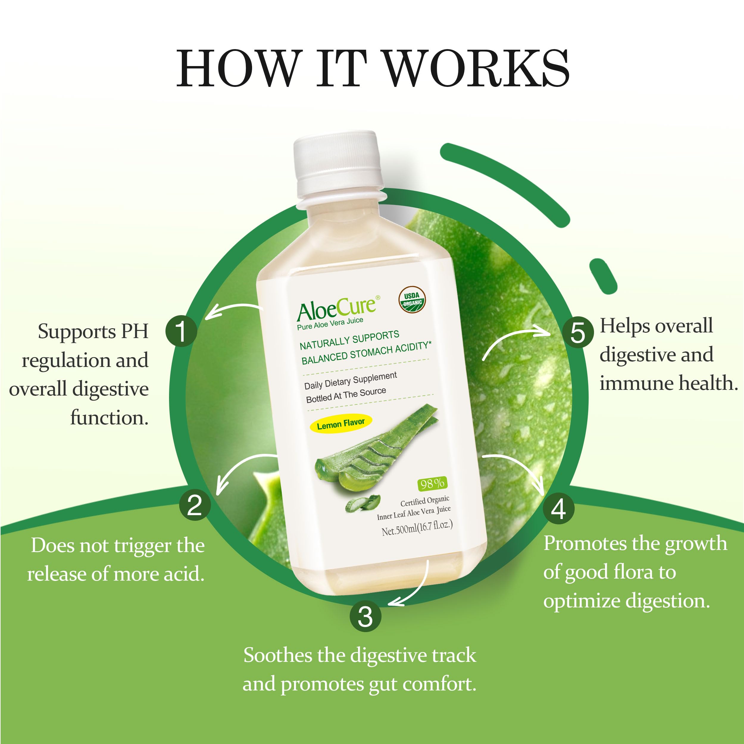 AloeCure USDA Organic Aloe Vera Juice Lemon Flavor - Made Within 12 Hours of Harvest - Natural Digestive Supplement for Balanced Stomach Acidity - Support Digestive and Immune Health, 2 Btls x 16.7oz