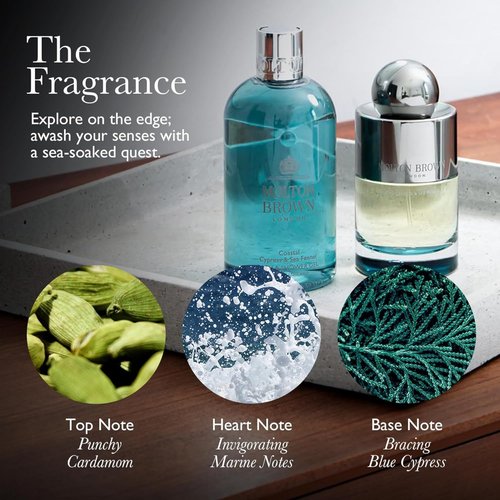 Coastal Cypress & Sea Fennel Conditioner