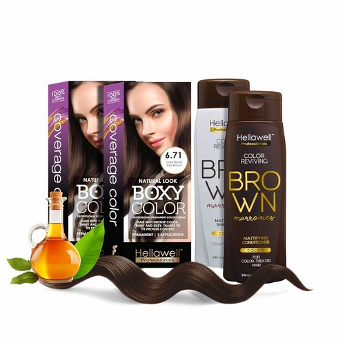 Skiennix Professional Coloring Kit - Permanent Hair Dye for Gray Coverage | 6.71 Dark Blonde Ash Brown + Reviving Shampoo & Conditioner Set