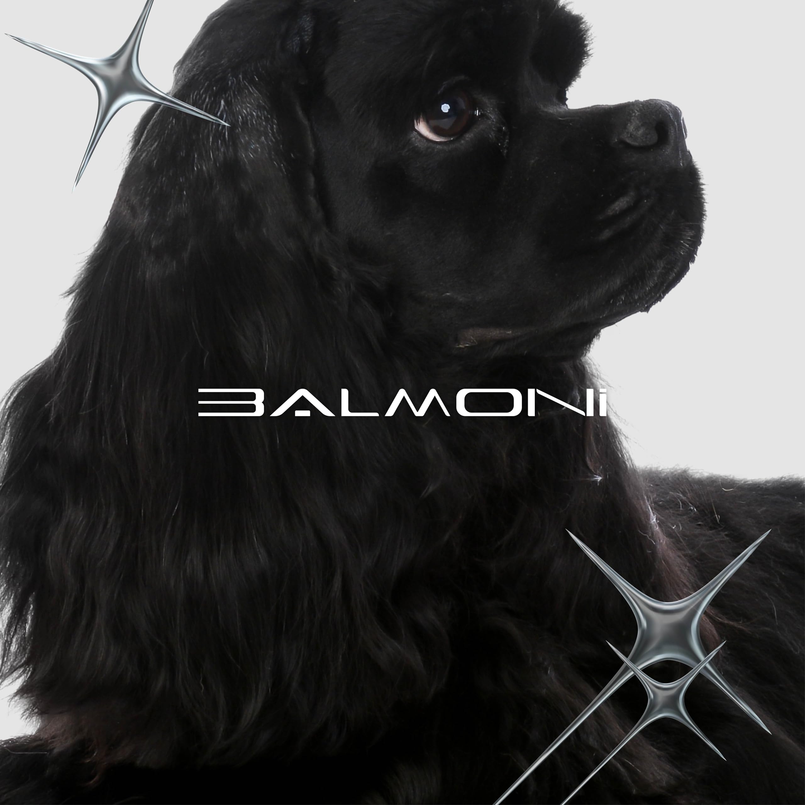 BALMONI Detachable Pet Dog Grooming Ceramic Titanium A5 Wide Blade, Compatible with Wahl, Andis, Heiniger A5 Clippers (30W 1/50", 0.5mm)